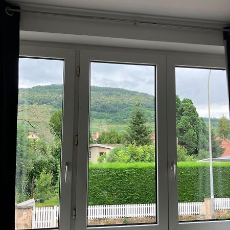 Appartamento Le cocon Guebwiller Esterno foto